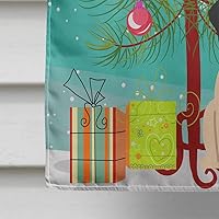 Vista 938 de Caroline's Treasures BB4243GF Bandera de jardín con texto en inglés «Merry Christmas» con texto en inglés «Merry Christmas», bandera decorativa