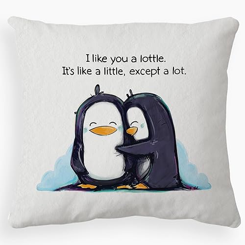 I Like You A Lottle, It's Like A Little, Except A Lot - Funda de almohada decorativa, 18.0 x 18.0in, decoración del hogar, decoración del hogar,