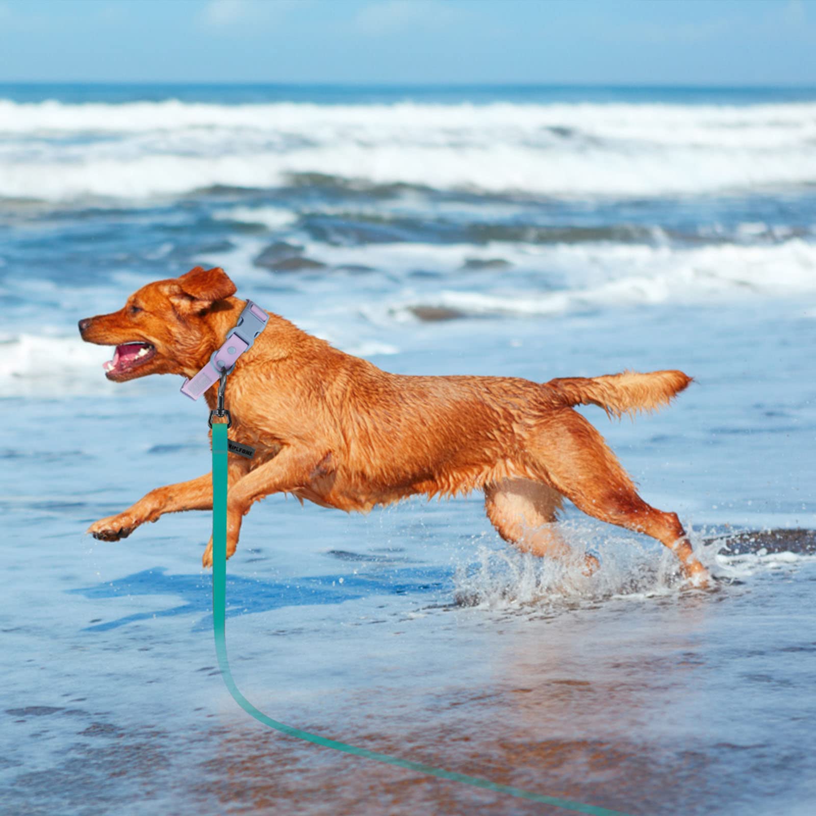 Wolfone 5ft Viridian Green Long Leash - Waterproof Training Dog Leash for Recall, Swimming, Camping, Beach, Hunting, Walking — view 5