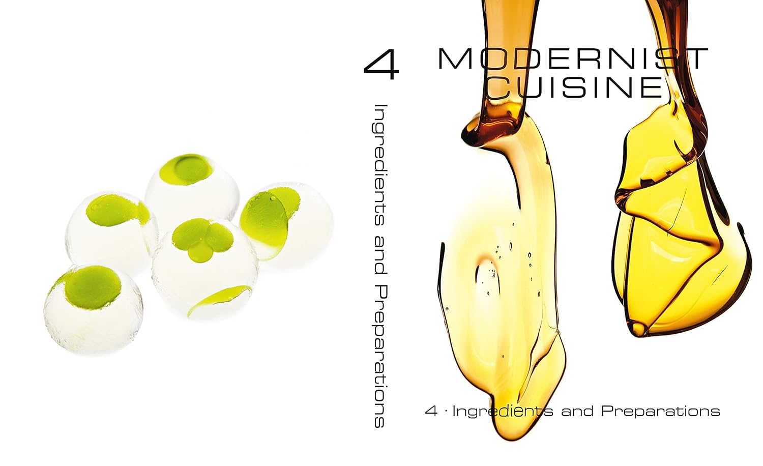 Modernist Cuisine: The Art & Science of Cooking - Image 11