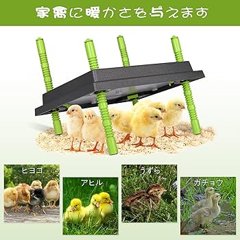 ひよこ ⭐︎低価格 Amazon | ヒヨコ用加熱プレート 育雛加熱板 高さ・角度調節可能