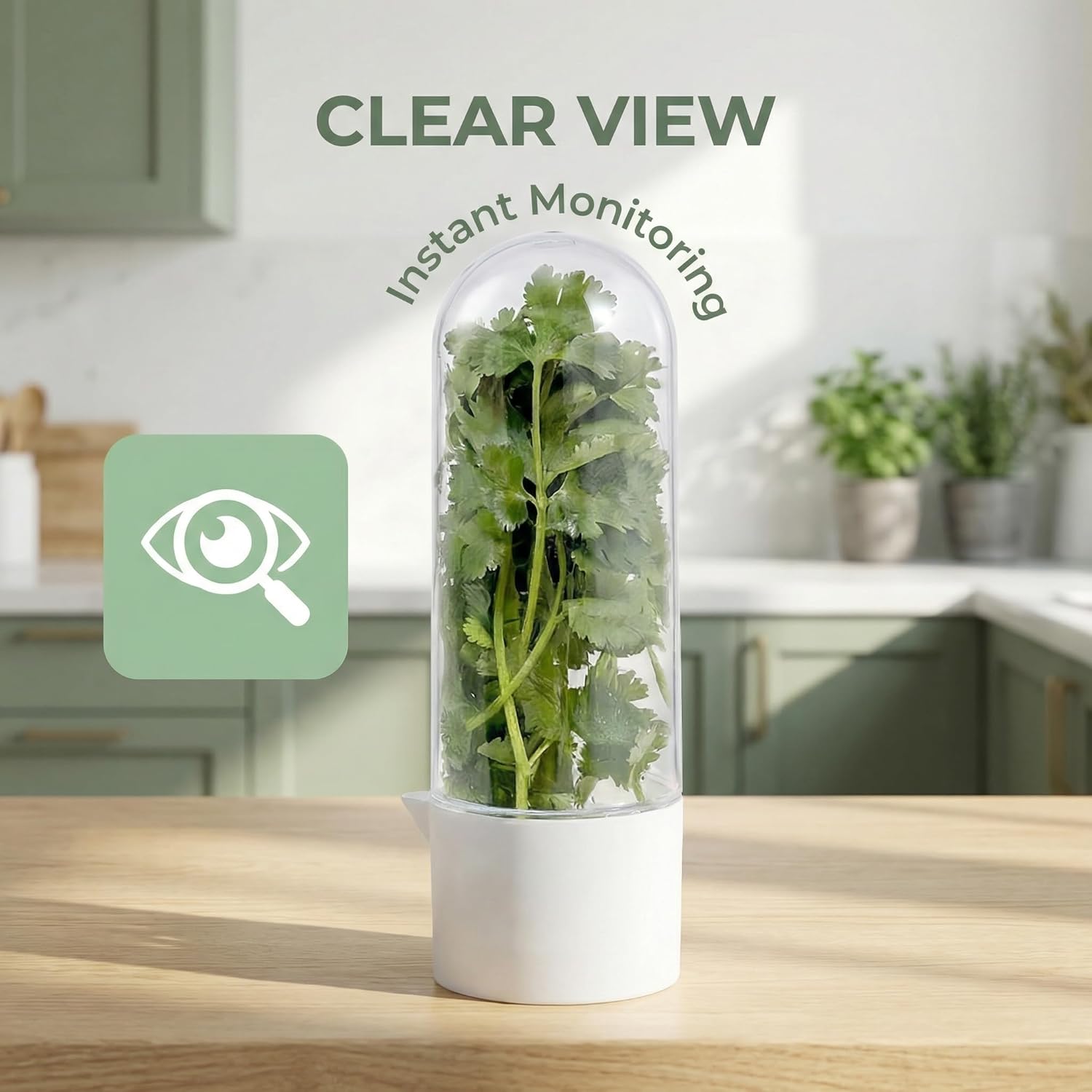 Herb Saver for Refrigerator, 3Pack Herb Keeper & Cilantro Container for Fridge, Fresh Herbs Lettuce Keeper Preservation Storage Container for Cilantro, Parsley, Asparagus, Extends 2-3 Weeks