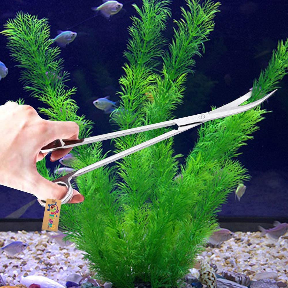 Western Era Jumbo Aquarium Scaping Tongs Scissor Long Stainless Steel Curve Scissor Tool for Fish Tank, Aquatic Plant Cleaning (B086DTXYQS) Amazon Price History, Amazon Price Tracker