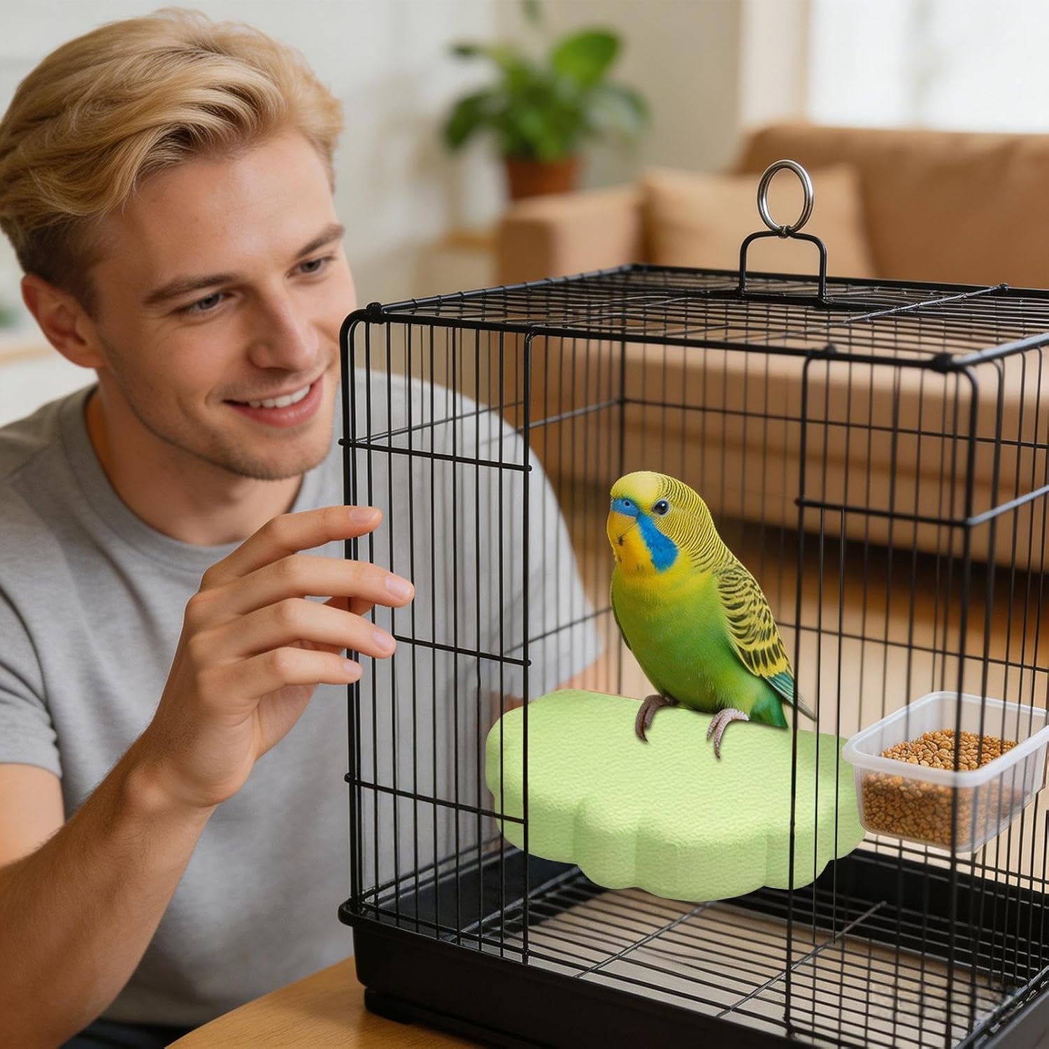 Cloud Bird Perch, Parrot Cage Stand with Elevated Resting for Love Cloud image 5