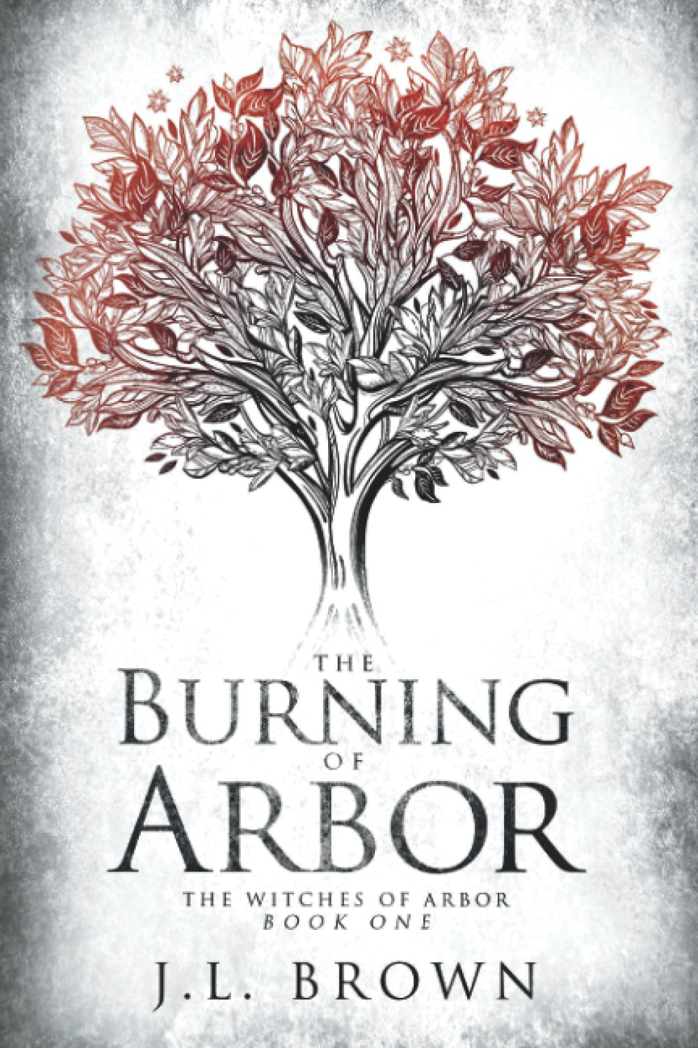 Buy The Burning of Arbor — BookShops.in