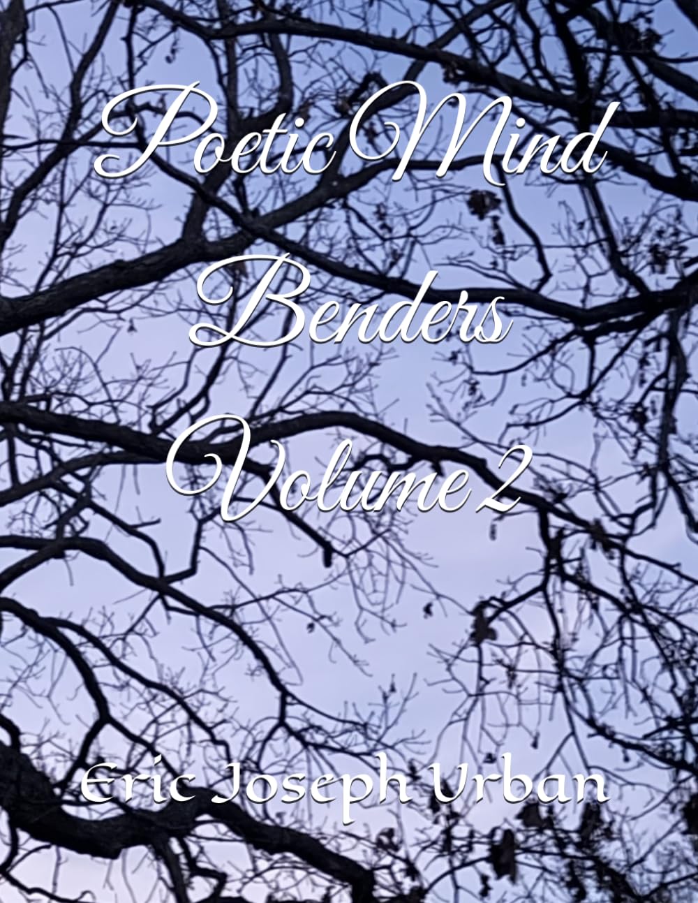 Poetic Mind Benders Volume II