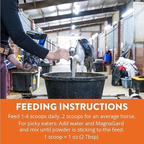 Miniatura 5 de MagnaGard Suplemento de apoyo gástrico para caballos con Omega 3  Alivia úlceras, suplemento calmante, magnesio y otros minerales vitales  polvo,