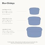 BLUE GINKGO Nesting Récipients en silicone - Ensemble de 3 Conteneurs de stockage de produits alimentaires en silicone BPA Libre, hermétique, lave-vaisselle et congélateur Safe (200ml, 300ml, 600 (en ml) - Blue