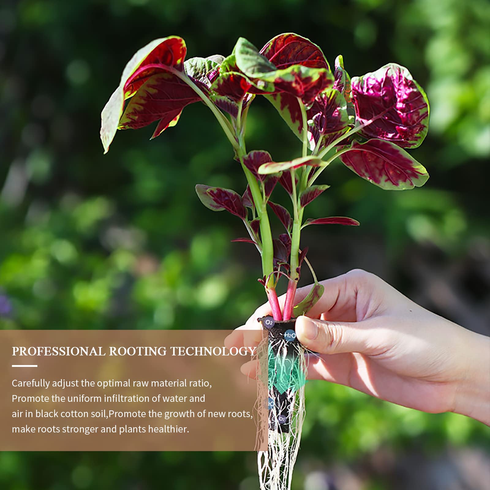 12 Pzs Esponjas para Cultivo Hidropónico Esponjas de Crecimiento Esponjas de Repuesto para Crecimiento de Raíces Tapones de Inicio de Semillas para Sistema de Cultivo Hidropónico Interior Jardín