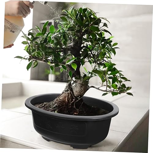 Miniatura 4 de Angoily 2 macetas de entrenamiento para bonsái, maceta de plástico de 15 pulgadas con bandeja de drenaje, maceta ovalada para decoración de