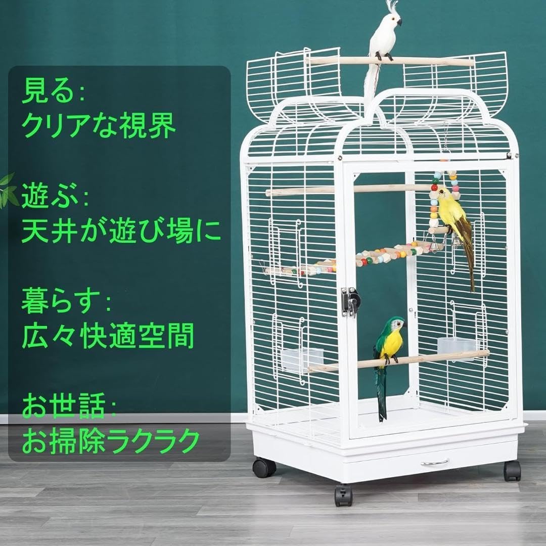 Ruexue鳥かご 透明アクリル扉 シングルレイヤー（45x45x57.5cm） 楽天