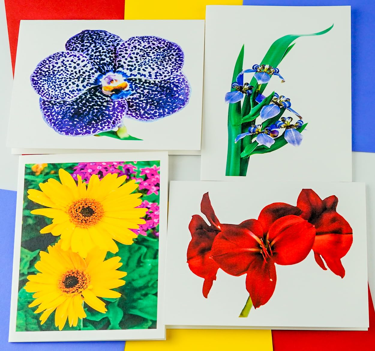 Blooming Flowers Assorted - High End - Photographic Heavy Smooth Note Cards 24 w/26 Colored Envelopes, Boxed Set (4.25"x 5.50") Blank Inside - Made in USA