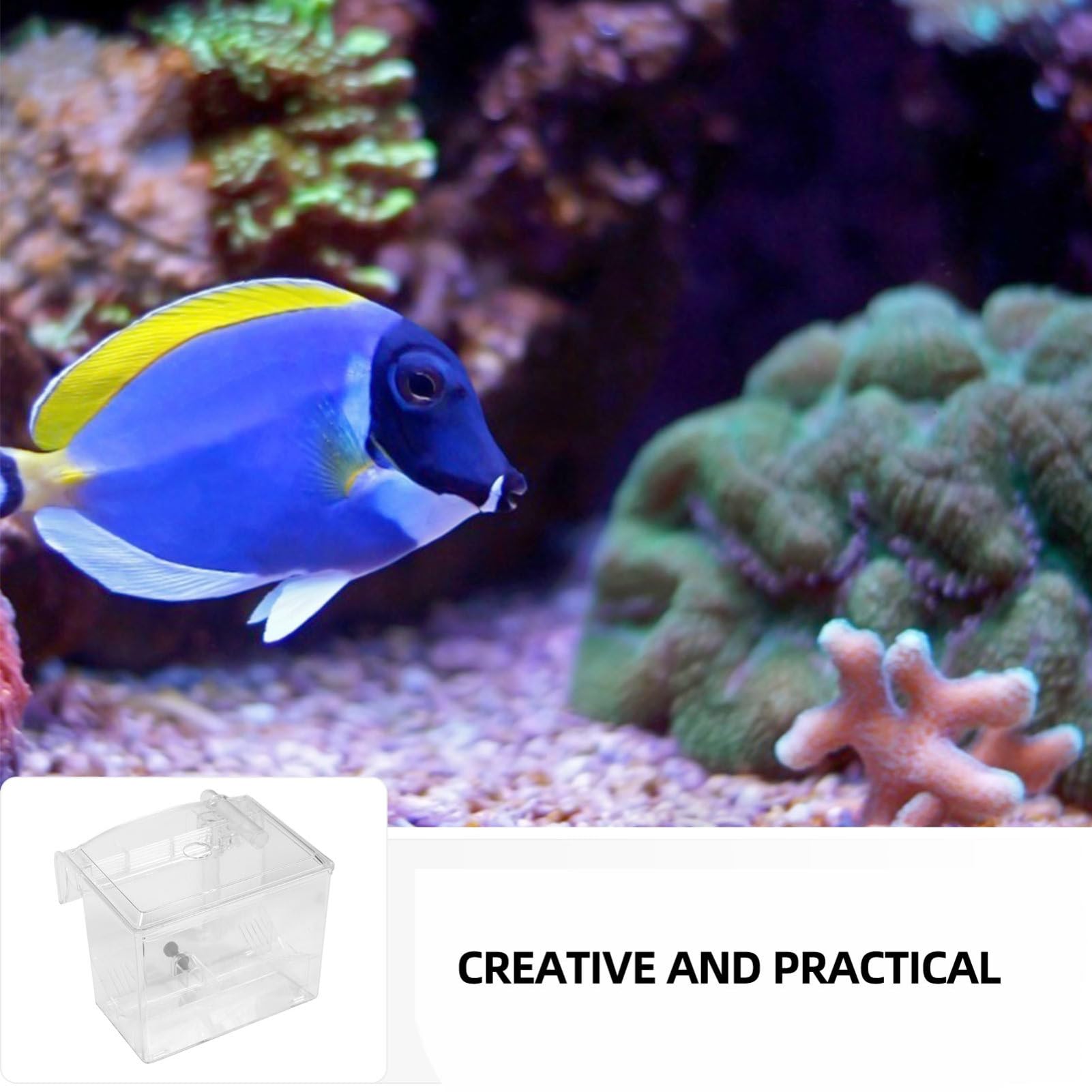 WOONEKY 1 Pieza Caja de Cría Aislante para Acuario Incubadora Exterior Colgante para Aislamiento y Cría de Peces para Hatching y de Alevines Diseño Práctico y Ecológico