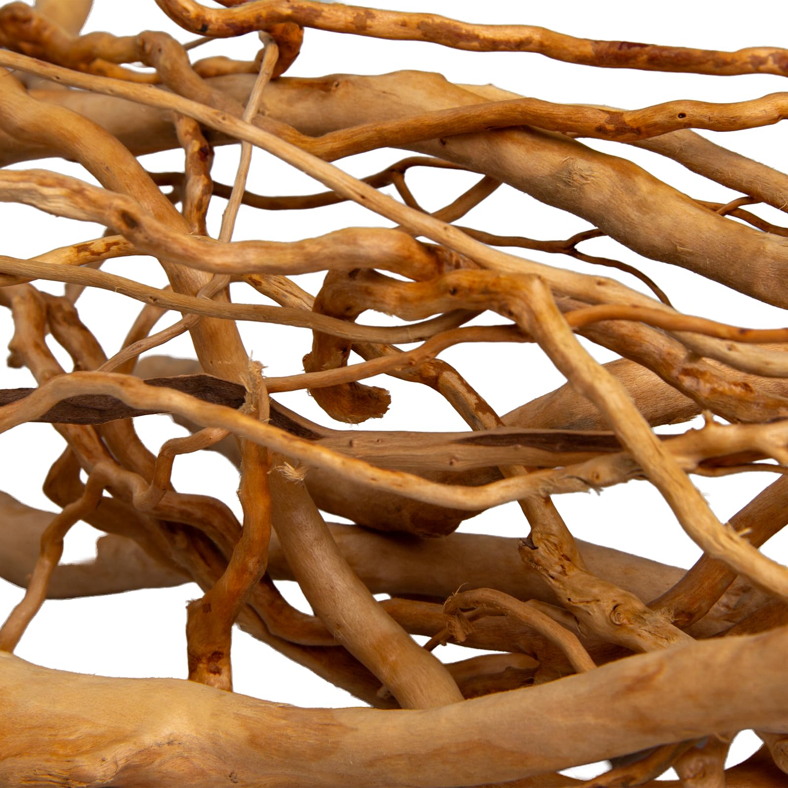 emours - Rami naturali per acquario, [170g] (40–80 cm / 16–32 pollici) - Rami unici di radice/ragno in legno per acquari, vasche con piante e terrari, decorazione per pesci e piante, ogni pezzo unico