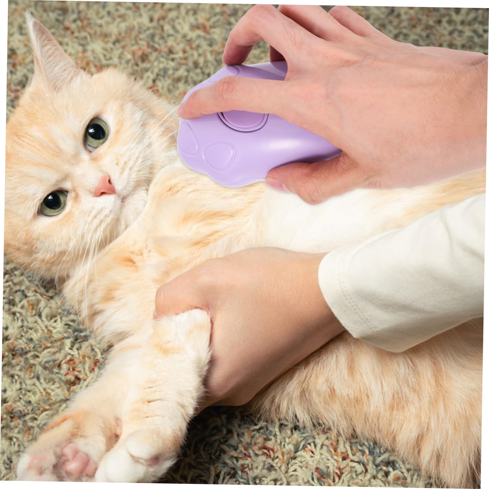 Toddmomy 5pièces Brosse à Vapeur Pour Chat Brosse De Toilettage Auto-nettoyante Et Masseuse Pour Animaux Élimine Les Poils Lâches Et Offre Une Expérience Apaisante Pour Bain