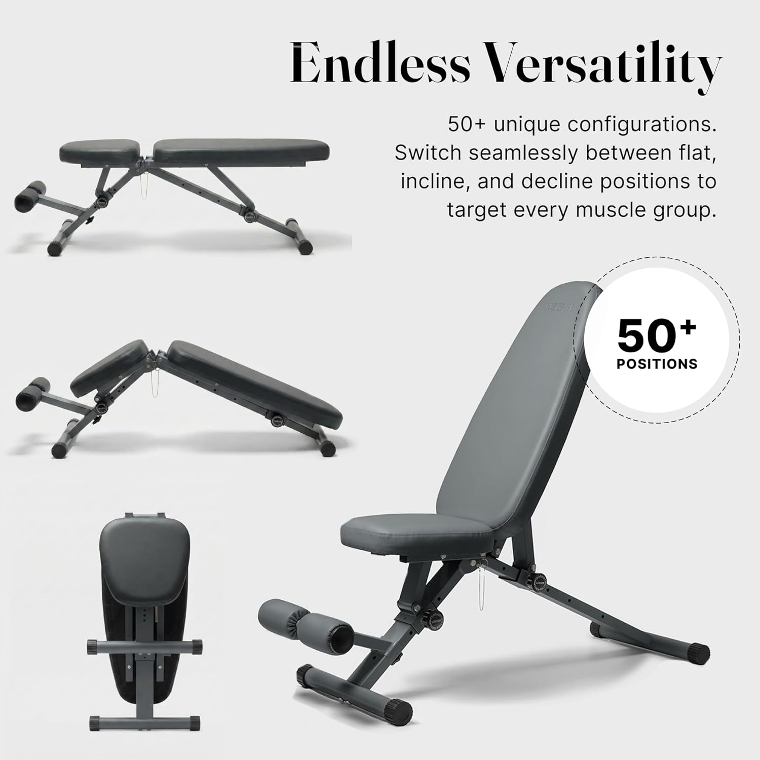 WeGym Fitness Bench, Adjustable, Collapsible, Comfortable, and Luxurious Home Gym Bench for Strength Training