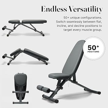 WeGym Workout Bench, Adjustable and Collapsible for Home Gym Training | Adjustable and collapsible design, comfortable bench, home gym strength training