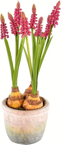 Miniatura 4 de Vickerman Everyday - Jacintos amarillos artificiales para interiores de 10 pulgadas, contenedor de cemento, arreglo decorativo de poliéster