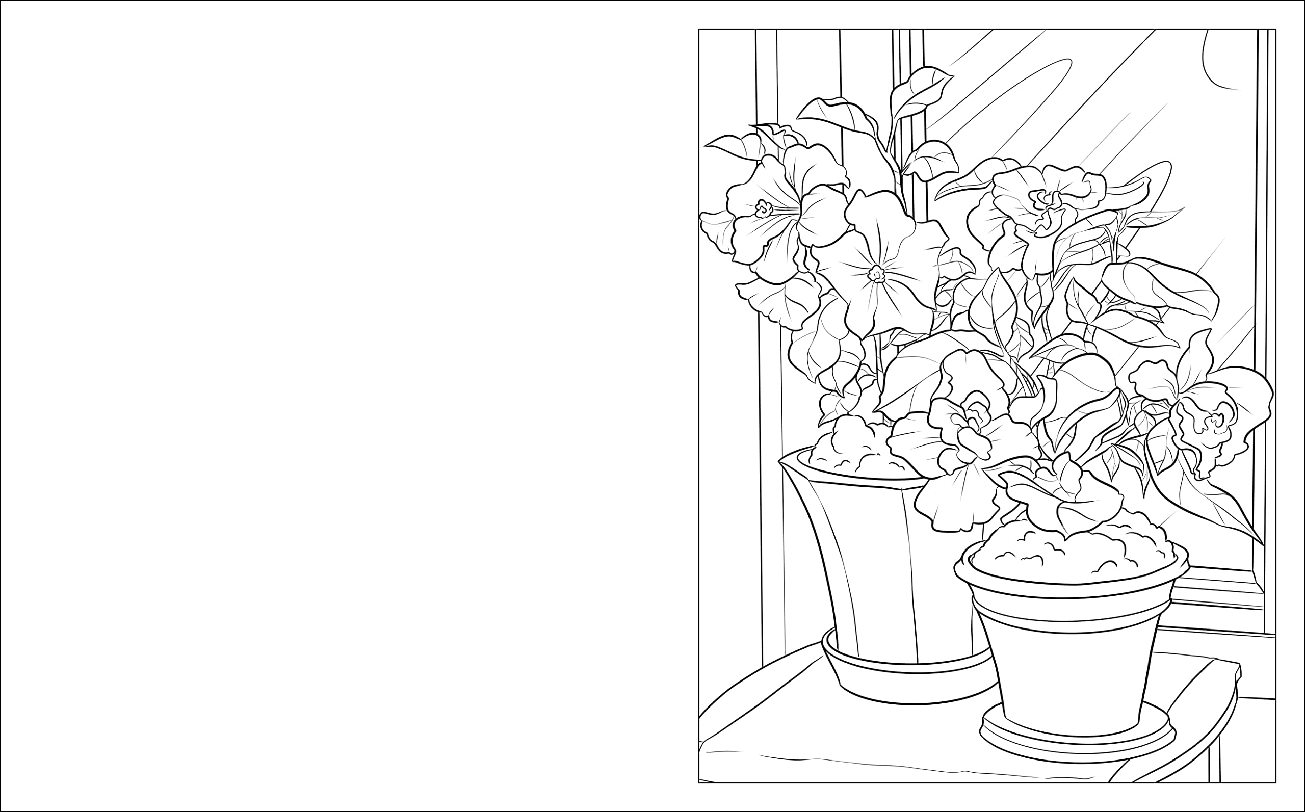 The House Plants Coloring Book