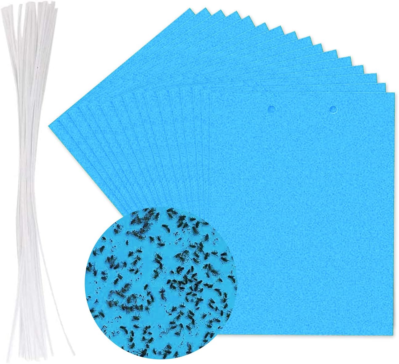 DNDZ Blue Fly Trap Stickers 30 Pack Dual-Sided Sticky Fly Traps for Plant Sticky Fly Traps Fly Paper Stickers Fly Catchers Dual-Side for Indoor Outdoor Use Insect Catcher Against Flying Plant Insect