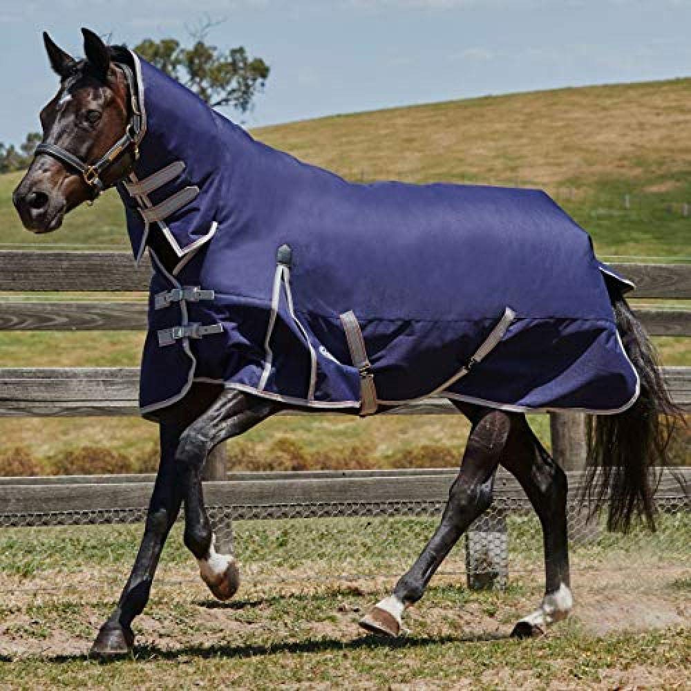 Weatherbeeta - Manta Combo de Ejercicio para Caballos ComFiTec Essential Medium (4') (Marino, Plateado, Rojo)