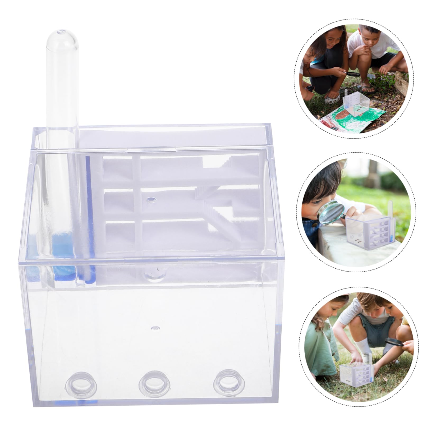 BESTonZON Fourmilière en Acrylique Observation Facile, Trousse Éducative pour Enfants, Jouet Scientifique