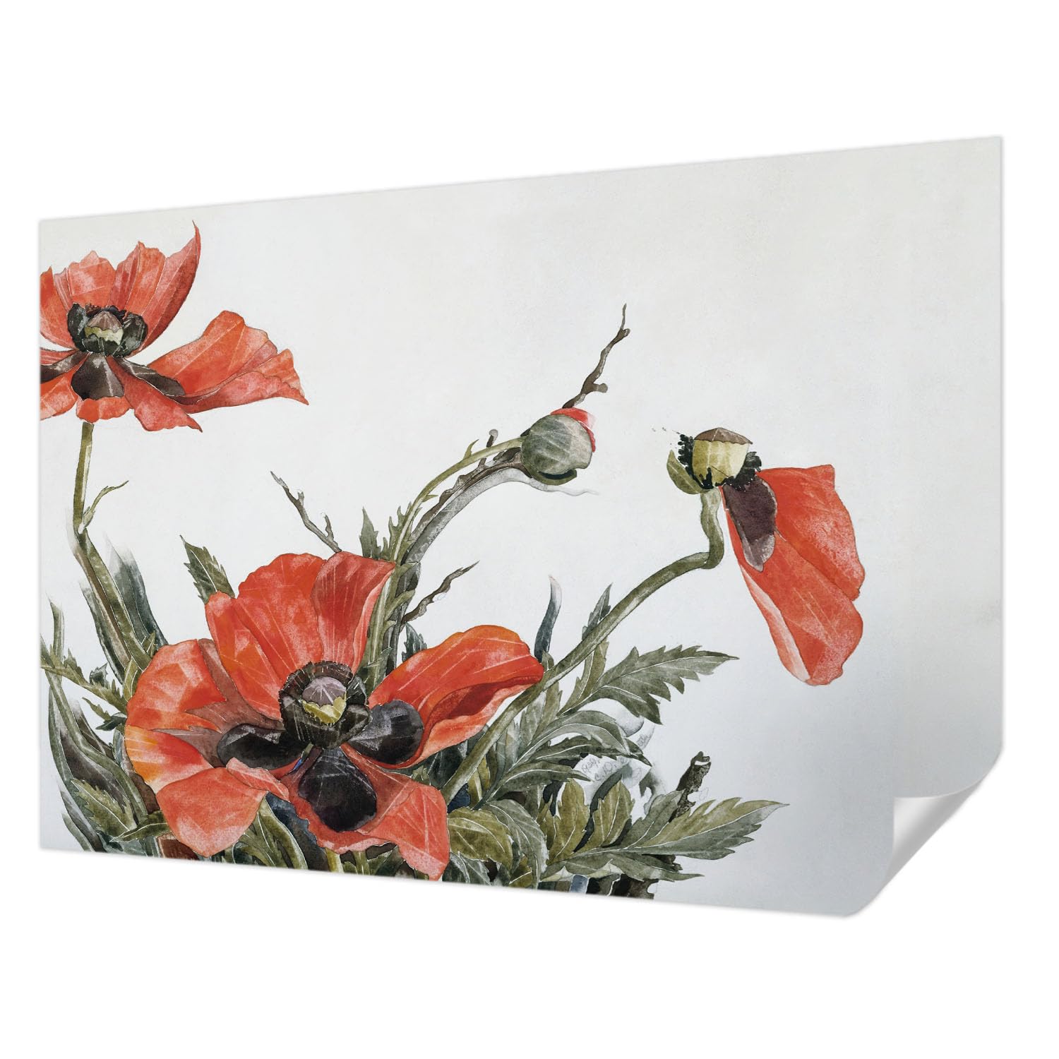 Papier peint panoramique de haute qualité coquelicots rouges Tulup 312x219 cm