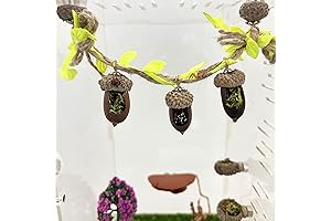 Jumping Spider Hide - A Natural Hideaway for Your Pet