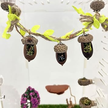 Jumping Spider Hide, Magnetic Climbing Rope Bridge, Handmade Real Acorn Hideaway Cave, Spider Platform, Decorative Accessory for Small Reptile Enclosures Style 1