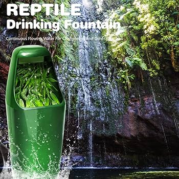 ぽん　爬虫類水入れ　10個セット ぽん 爬虫類水入れ 10個セット 楽天市場】爬虫類 水入れの通販