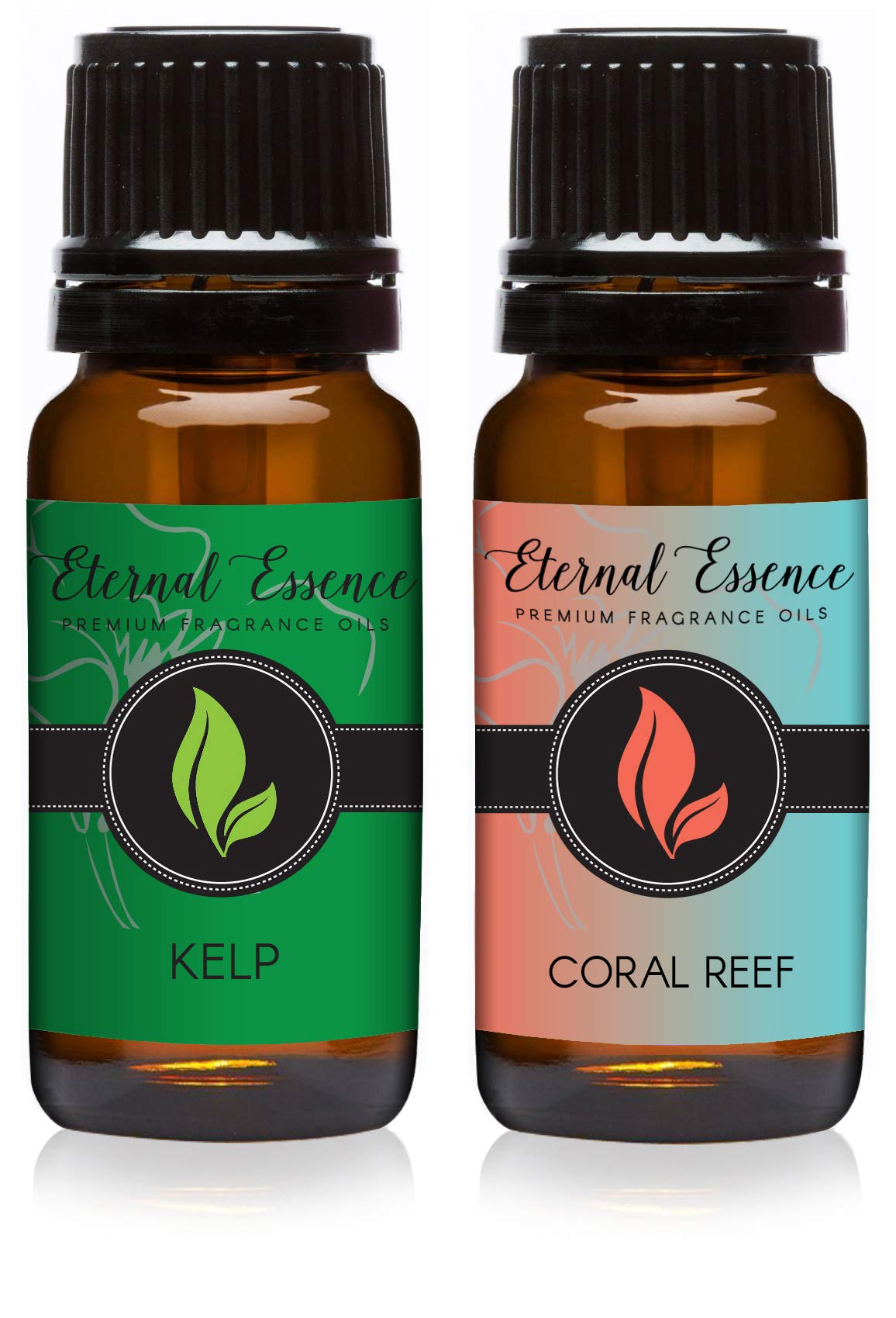 Eternal Essence Oils 2 Pack 10ml Premium Fragrance Oil - Coral Reef &amp; Kelp - for Candle, Soap Making, Aromatherapy, Diffusers, Home Care, &amp; Humidifiers