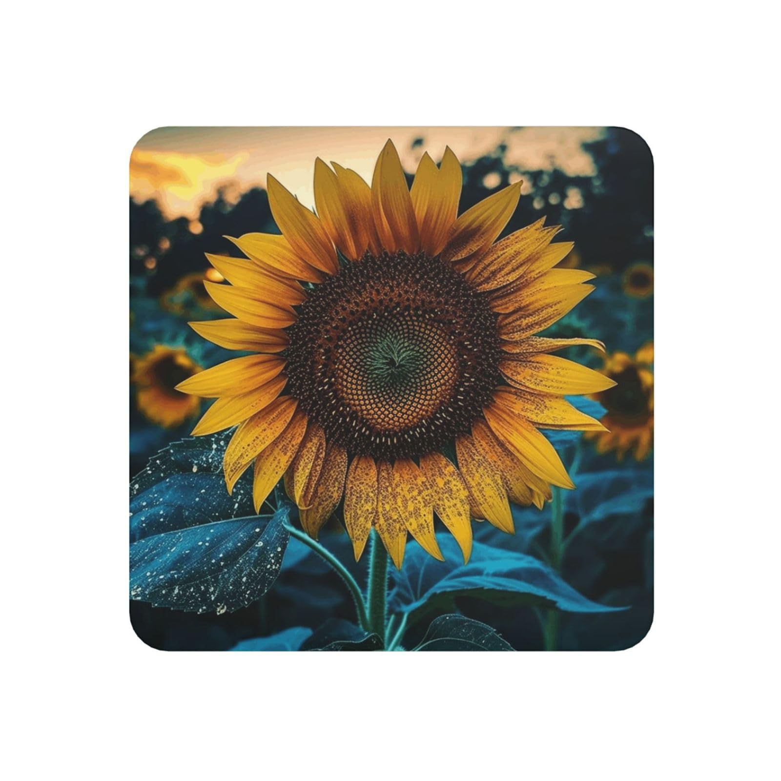 Fodpand Square The Most Beautiful Sunflower Fridge Magnets, Strong Small Refrigerator Magnets Decorative Magnets For Kitchen Fridge Office Locker - Funny Magnetic Stickers Birthday Gifts