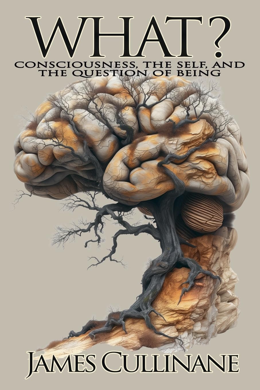 What? Consciousness, the Self, and the Question of Being