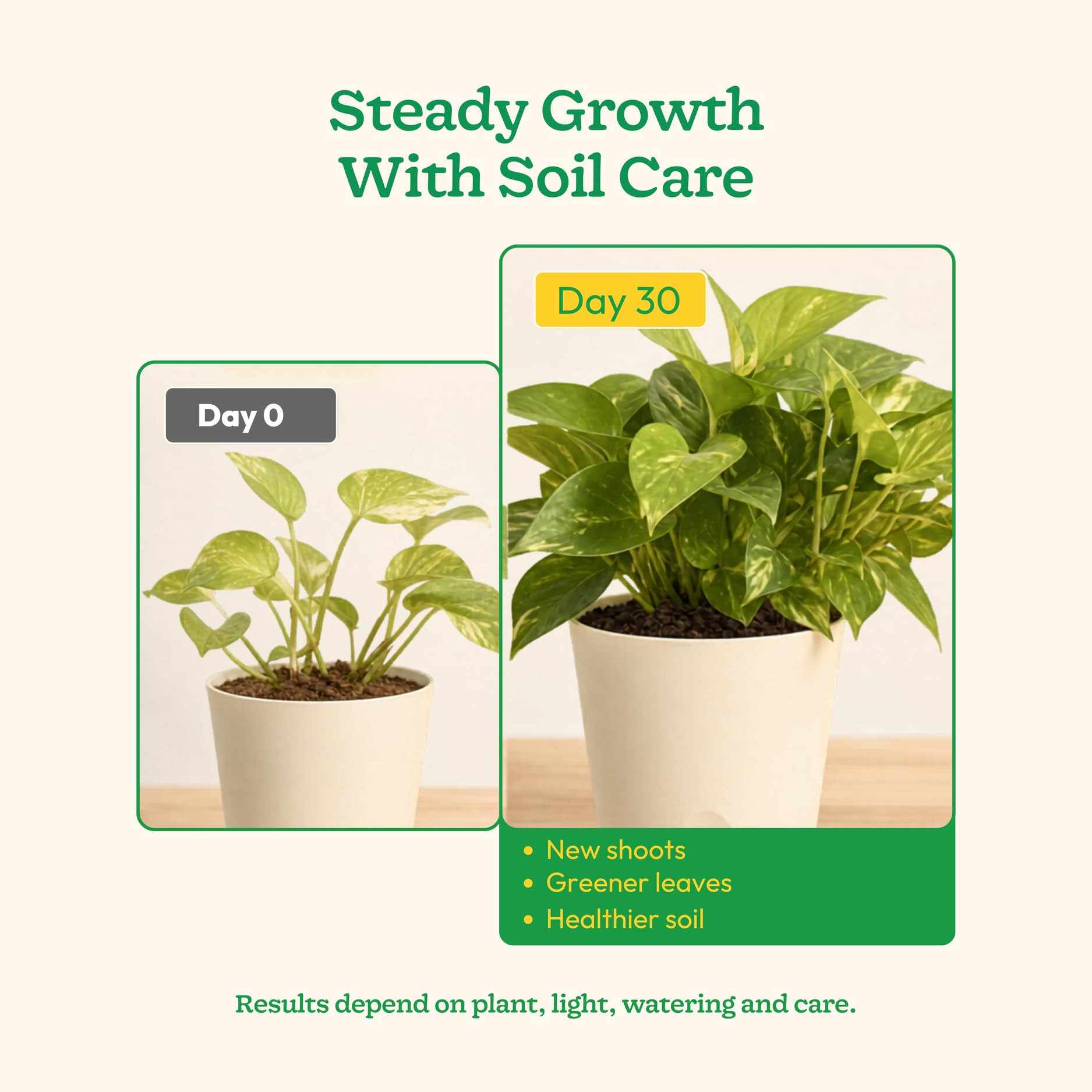 Ugaoo Organic Vermicompost for Plants 5 Kg | Pure Earthworm Compost Manure Rich in NPK & Micronutrients | Natural Plant Food for Indoor, Outdoor Flowering & Home Garden | Sterilized and Odour-Free 4