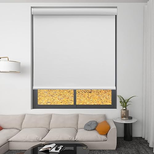 Changshade Persiana enrollable opaca personalizada, persianas enrollables para ventana con control de luz de privacidad, protección UV, aislamiento