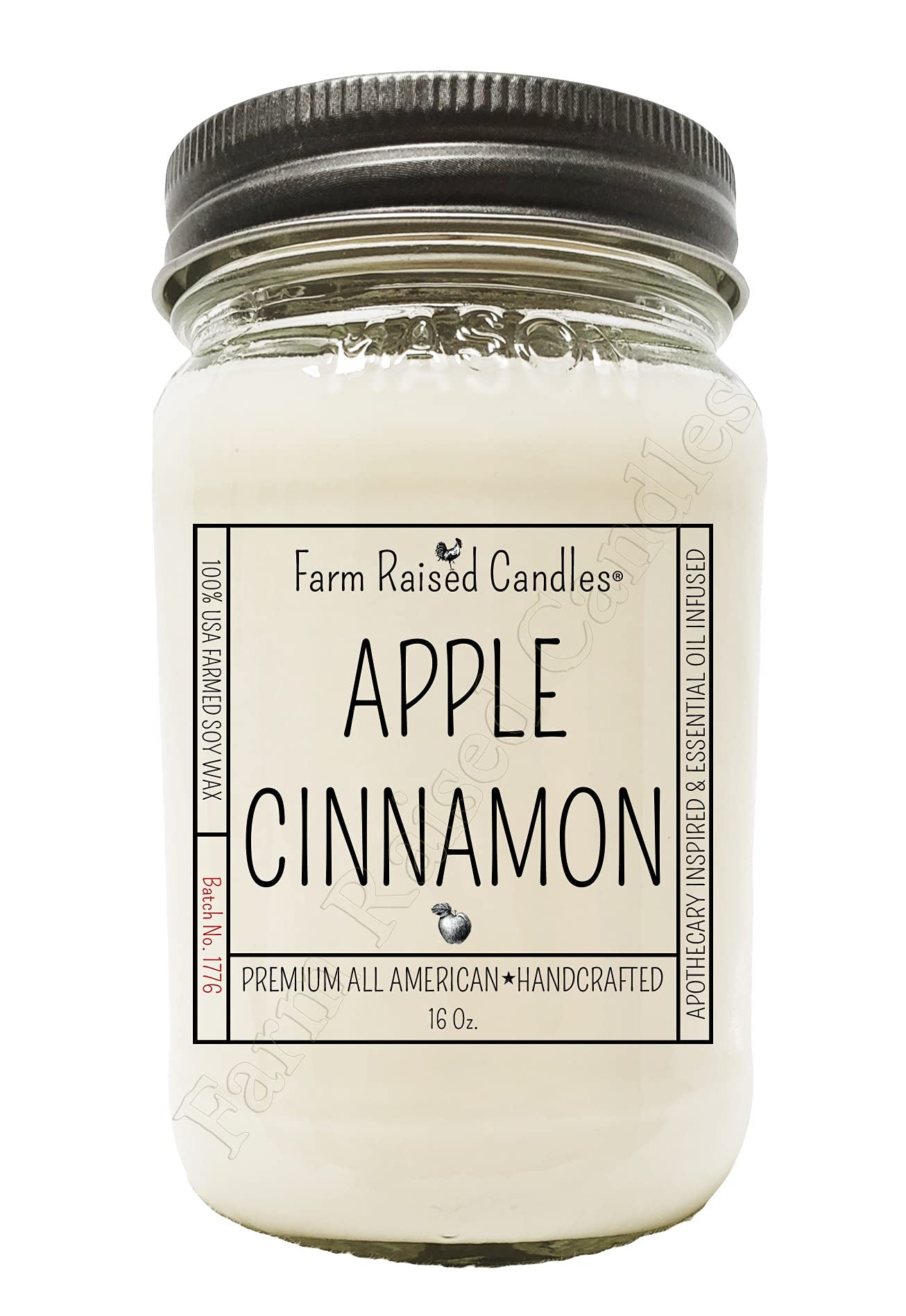 Farm Raised CandlesAll American Handcrafted - - Plant-Based - 80+ Hour Burn - 100% Natural American Farmed Soy Wax. Gift Wrap Ready Box. 16 Ounce Country Mason Jar. (Apple Cinnamon