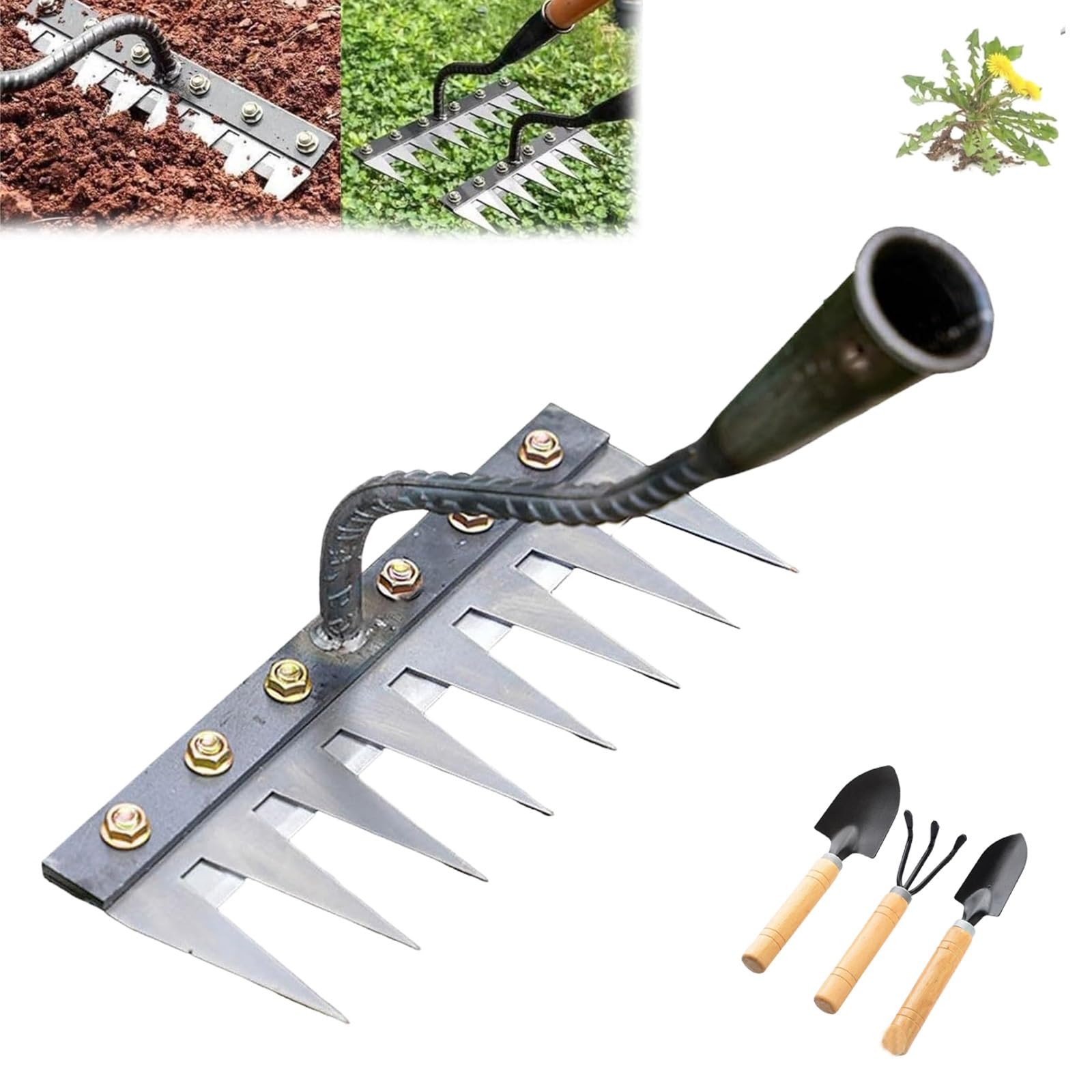 Liocwocne Iron Rake for Gardening and Weeding, Gardinea Iron Weeding Rake, 5/6/7/8 Teeth Carbon Steel Garden Weeding Rakes, Efficient for Backyard Lawn Loosening & Dethatching(8 Teeth)