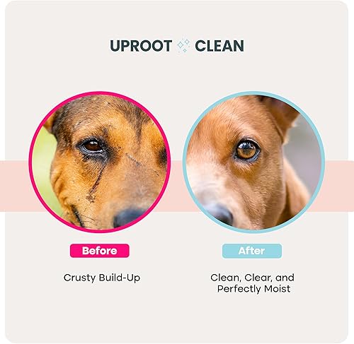 Uproot Clean Pet Dental Finger Wipes for Dogs & Cats (50ct.): Easy & Effective Cat and Dog Teeth Cleaning Wipes - Dog Dental Tissues for Plaque, Tartar, & Bad Breath - Safe, Rinse-Free, Disposable(Eye Wipes,100 Count)