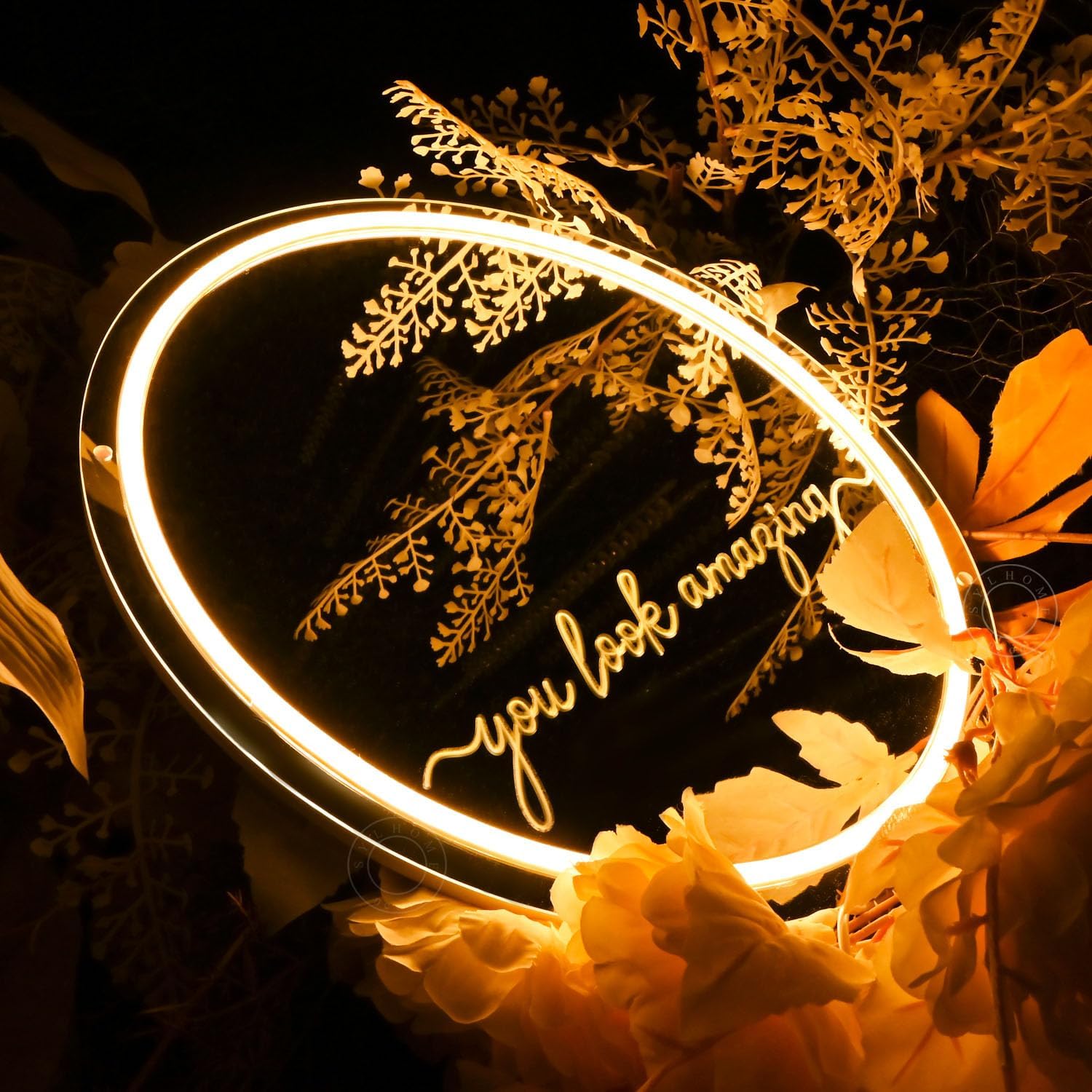SYLHOME Mirror Led Neon Light Sign You Look Amazing Bedroom Girls Room Dresser Wall Sign Decor Birthday Party Christmas Gifts 13.78" X 11.81" USB Warm White