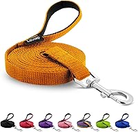 Vista 15 de Correa impermeable para perros Loutep de 10 pies, 16 pies, 30 pies, 50 pies, línea larga de PVC para perros, correa de playa, natación, seguimiento