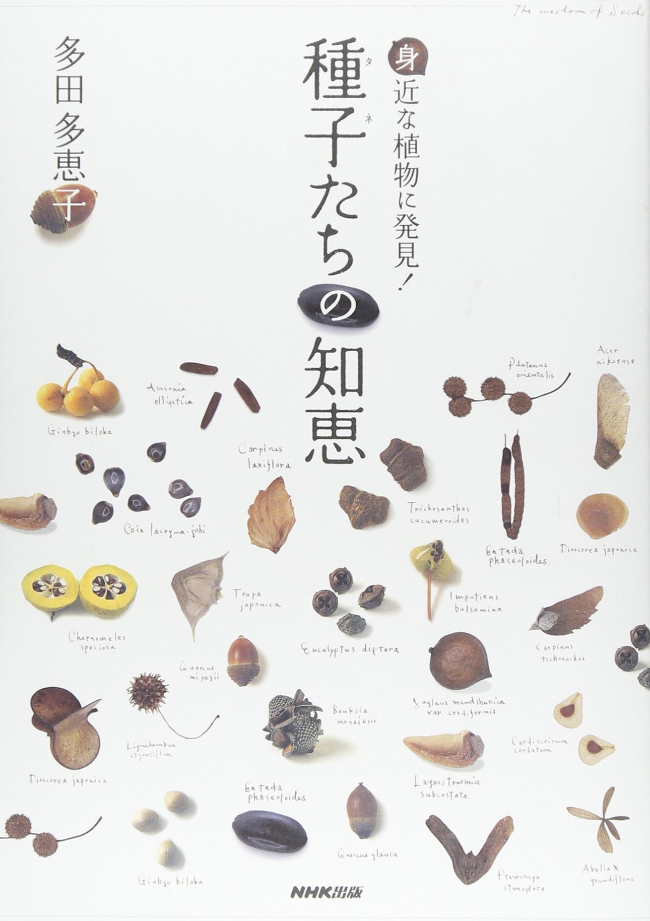 身近な植物に発見 種子 タネ たちの知恵 多田 多恵子 本 通販 Amazon