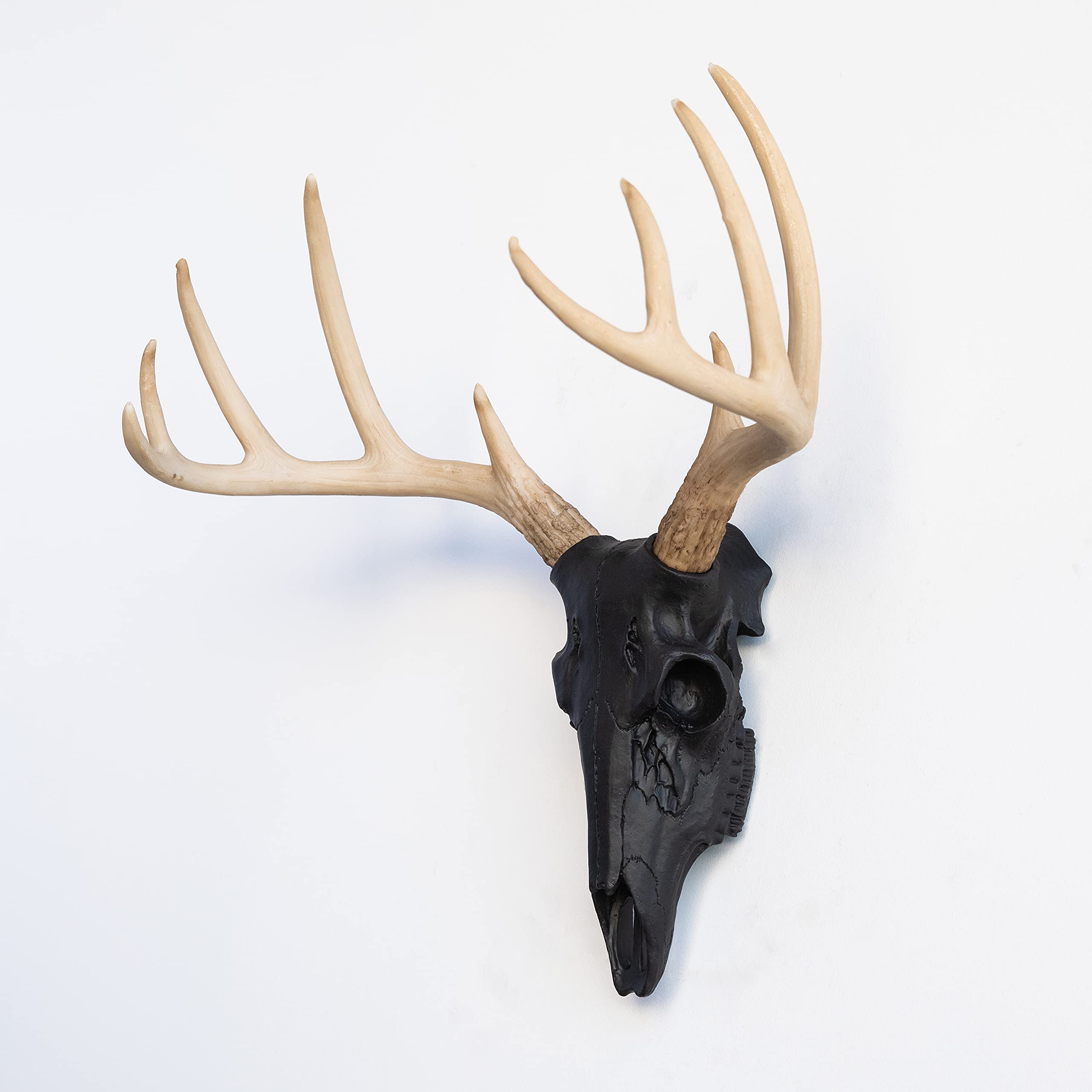 Amazon.co.jp: 近くand Deer Faux Taxidermy鹿スカル壁マウント BS1700