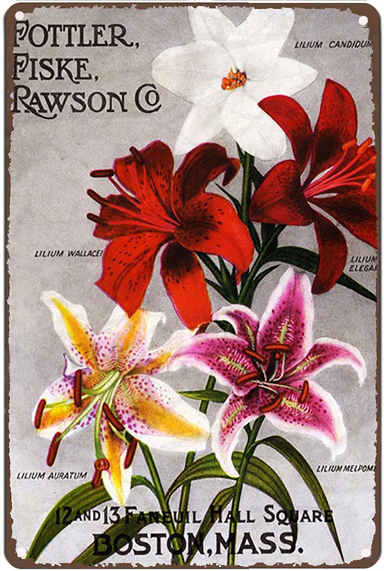 Metal Tin Retro Sign Vintage Flowers Art Print/Poster Lillies Lilly Floral Nature Plants Kitchen Garden Home Horticulture Wall Decor for Bars,Restaurants,Cafes Pubs,12x8 Inch