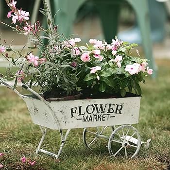 フラワー・ガーデニング P-CHAMBER.SRLMEX-S P-P POT