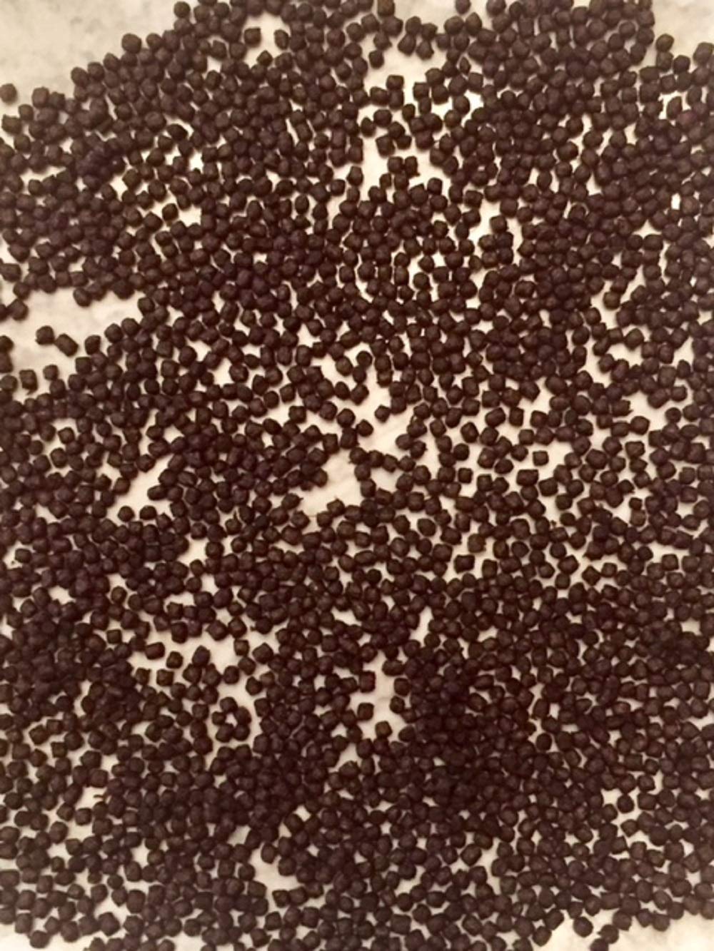 best food for koi fry