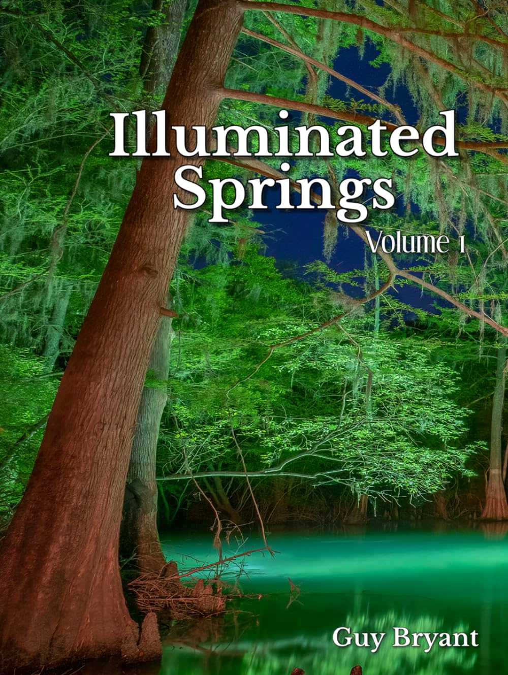 Illuminated Springs, Volume 1 (Illuminated Springs Series)