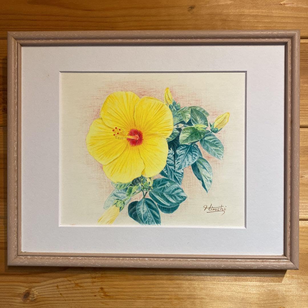 幸せの黄色いハイビスカス(色鉛筆画) 幸せの黄色いハイビスカス(色鉛筆画)