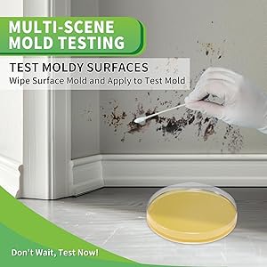 Mold Test Kit for Home with Free Lab Analysis - 5 Simple Detection Tests DIY at Home Mold Air Tester - Test HVAC System,Surface Mold for Home Indoor & Outdoor Air Quality Mold Testing Kits Detector