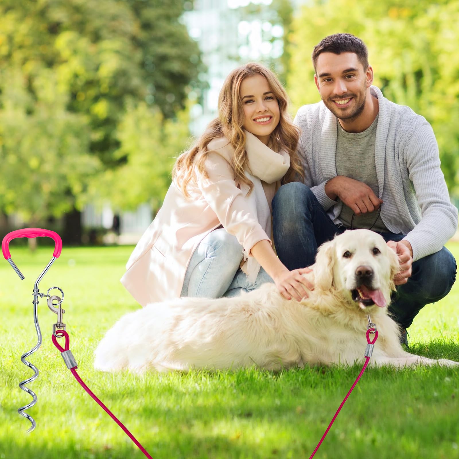 3 m Laisse pour Chien avec 42 cm Ancrage au Sol, 6 mm Câble d'attache Chiens Petite Medium Grande avec Crochet Pivotant, Jusqu'à 250 kg, PVC Coated, Anti-Morsure, Chaîne Chien Extérieur (3m Rose)