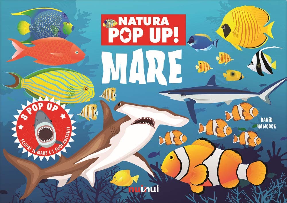 Mare. Natura Pop Up! Ediz. A Colori - 4